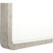 Triton 54 X 38 inch Taupe Mirror