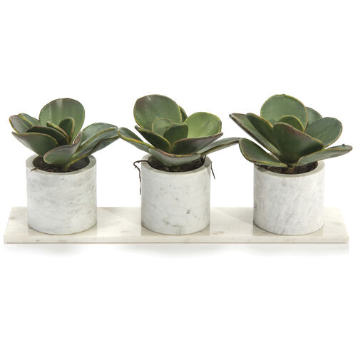 Marble Decorative Plant