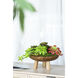Anita 11.8 X 5.9 inch Bowl