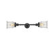 Franklin Restoration Canton 2 Light 6 inch Matte Black Bath Vanity Light Wall Light in Seedy Glass, Franklin Restoration
