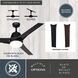 Crescent 22 inch Black with Black-Walnut Blades Ceiling Fan
