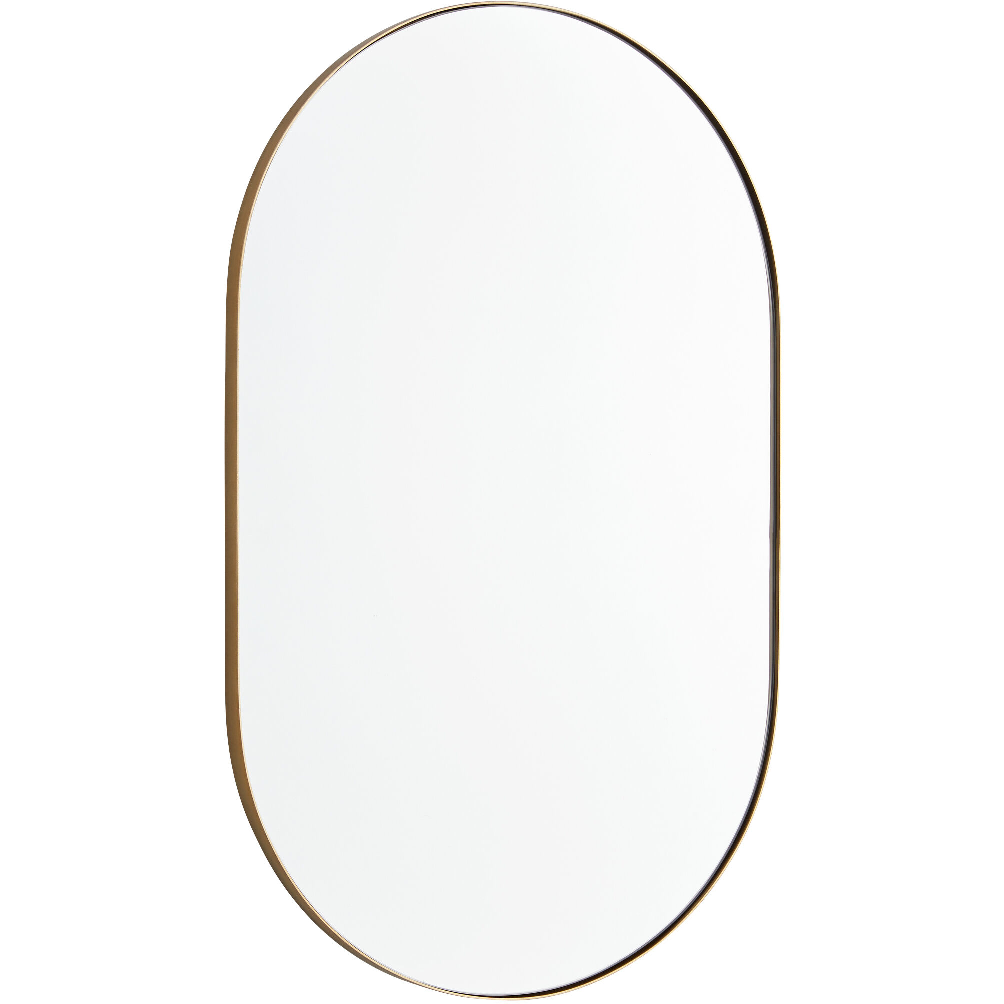 Capsule 32 X 20 inch Gold Mirror