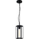 Creed LED 5.25 inch Matte Black Pendant Ceiling Light