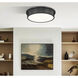 Bentley LED 20 inch Matte Black Flush Mount Ceiling Light