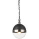Torino 1 Light 8 inch Brushed Nickel Pendant Ceiling Light in Brushed Nickel and Clear