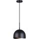 Henlee 1 Light 9 inch Black Pendant Ceiling Light