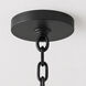 Urchin 1 Light 8 inch Black Mini Pendant Ceiling Light
