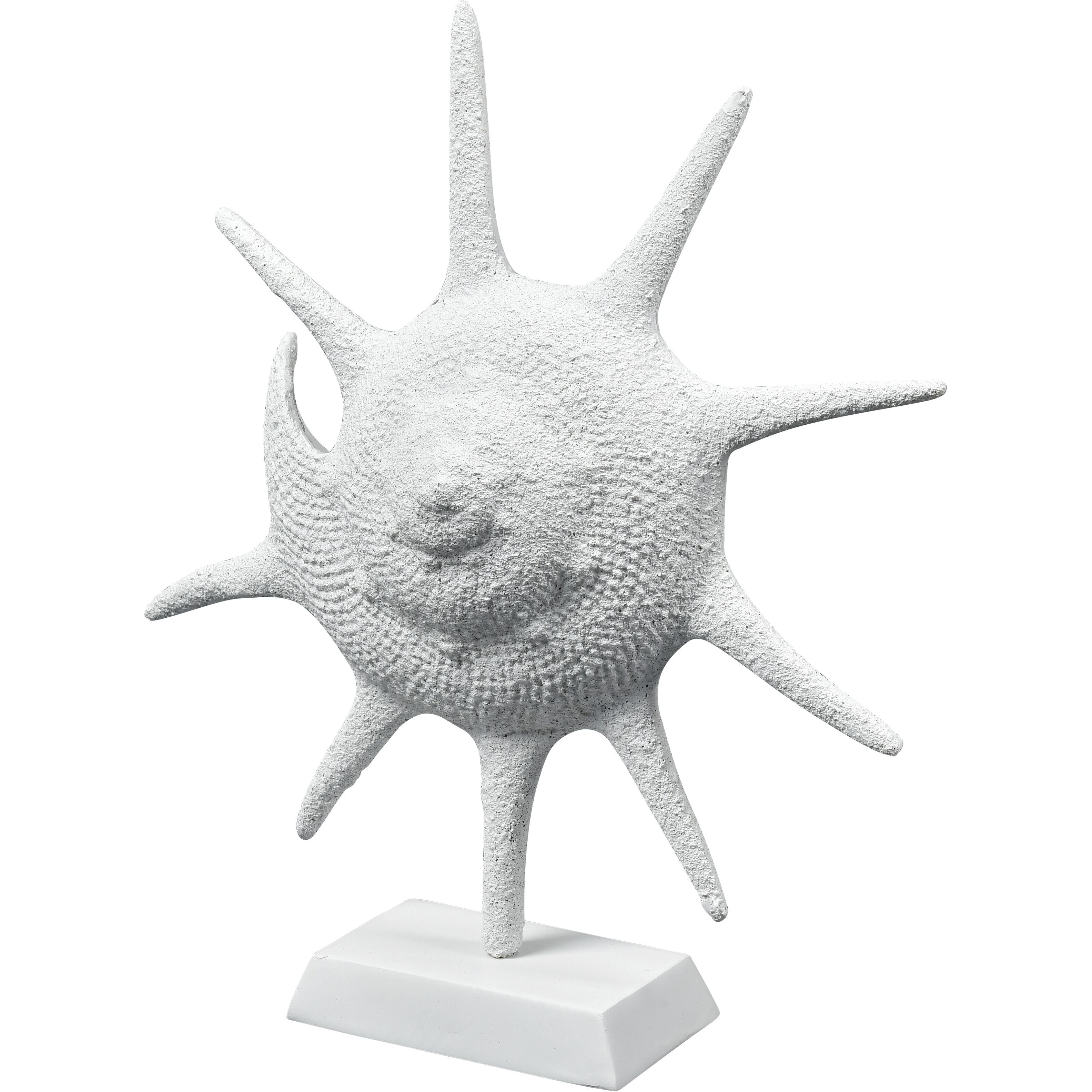 Marco Textured White Shell