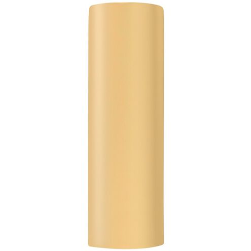 Ambiance Outdoor Wall Sconce