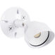 Bejamin LED White Outdoor Flood