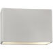 Ambiance Collection LED 6 inch Antique Silver Outdoor Wall Sconce