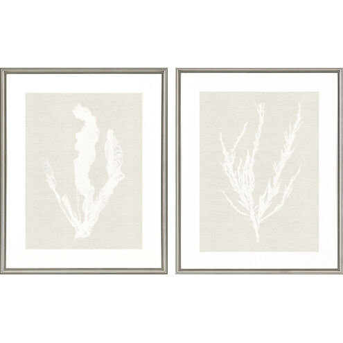 Oceania / Seaweed White and Beige and Neutral Framed Art