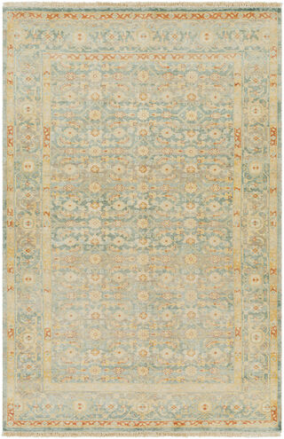 Hamadan 36 X 24 inch Seafoam Rug, Rectangle