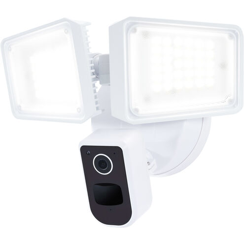 Starfish Outdoor Security Light