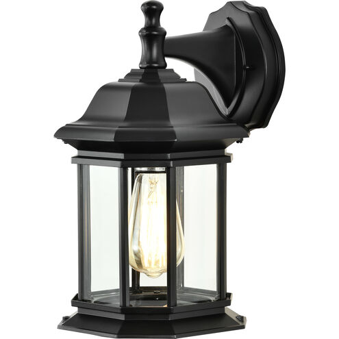 Hopkins 13 inch Matte Black Outdoor Wall Lantern, Large