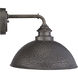 Englewood 1 Light 10 inch Antique Pewter Outdoor Wall Lantern, Medium