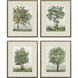 Landscapes Green and Brown and Gray and White Framed Art