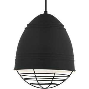 Loft 1 Light 11.6 inch Rubberized Black w/ White Interior Pendant Ceiling Light in Incandescent, Rubberized Black/White