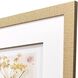 Nature's Wonder Yellow and Multi and Beige Framed Art, Propac