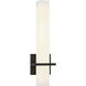 Rindlen Wall Sconce Wall Light in Matte Black