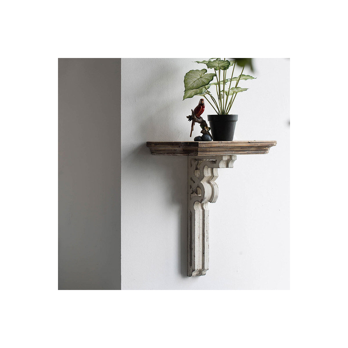 20 sales inch shelves