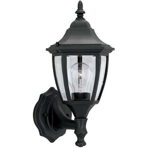 Builder 1 Light 14 inch Black Outdoor Wall Lantern
