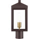 Nyack 1 Light 15 inch Bronze with Antique Brass Cluser Outdoor Post Top Lantern