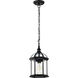 Boxwood 1 Light 8 inch Textured Black Outdoor Hanging Lantern