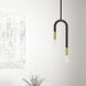 Wand 2 Light 5 inch Matte Black with Aged Brass Pendant Ceiling Light in Matte Black and Aged Brass