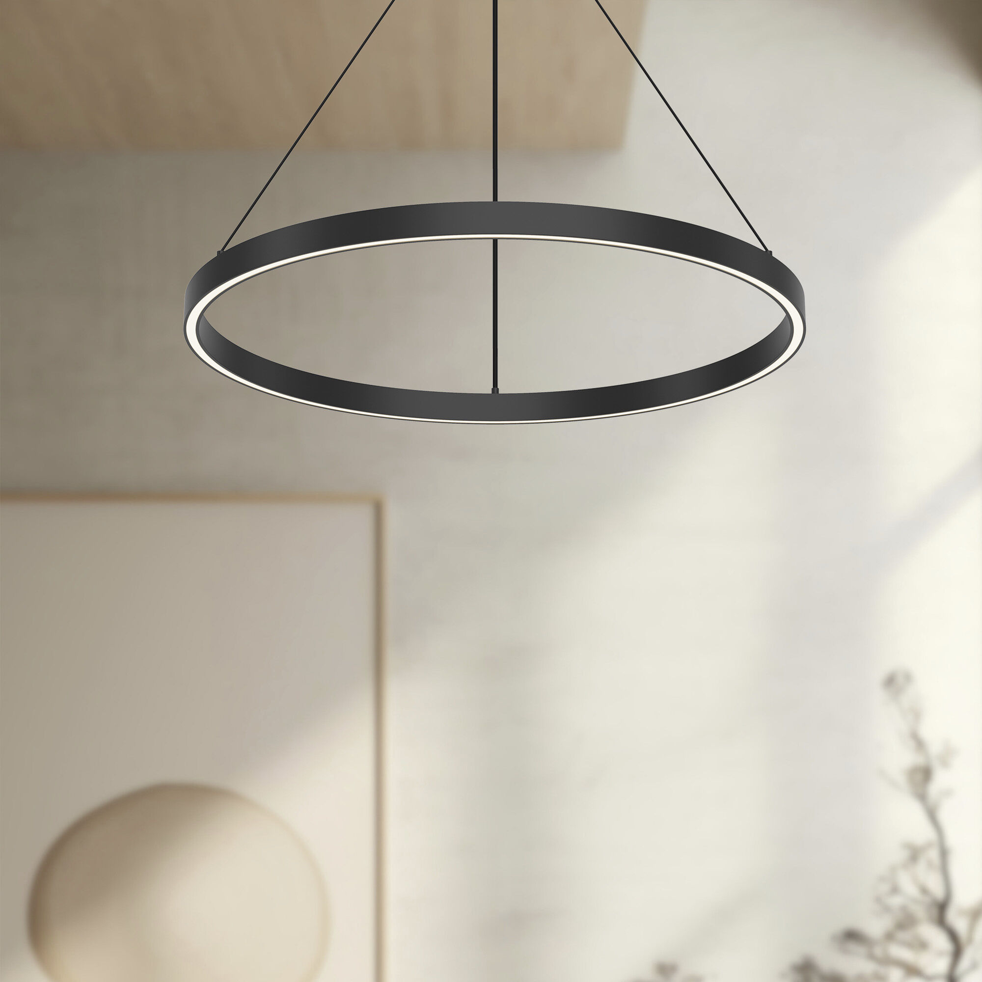 Cerchio Pendant Ceiling Light in Black