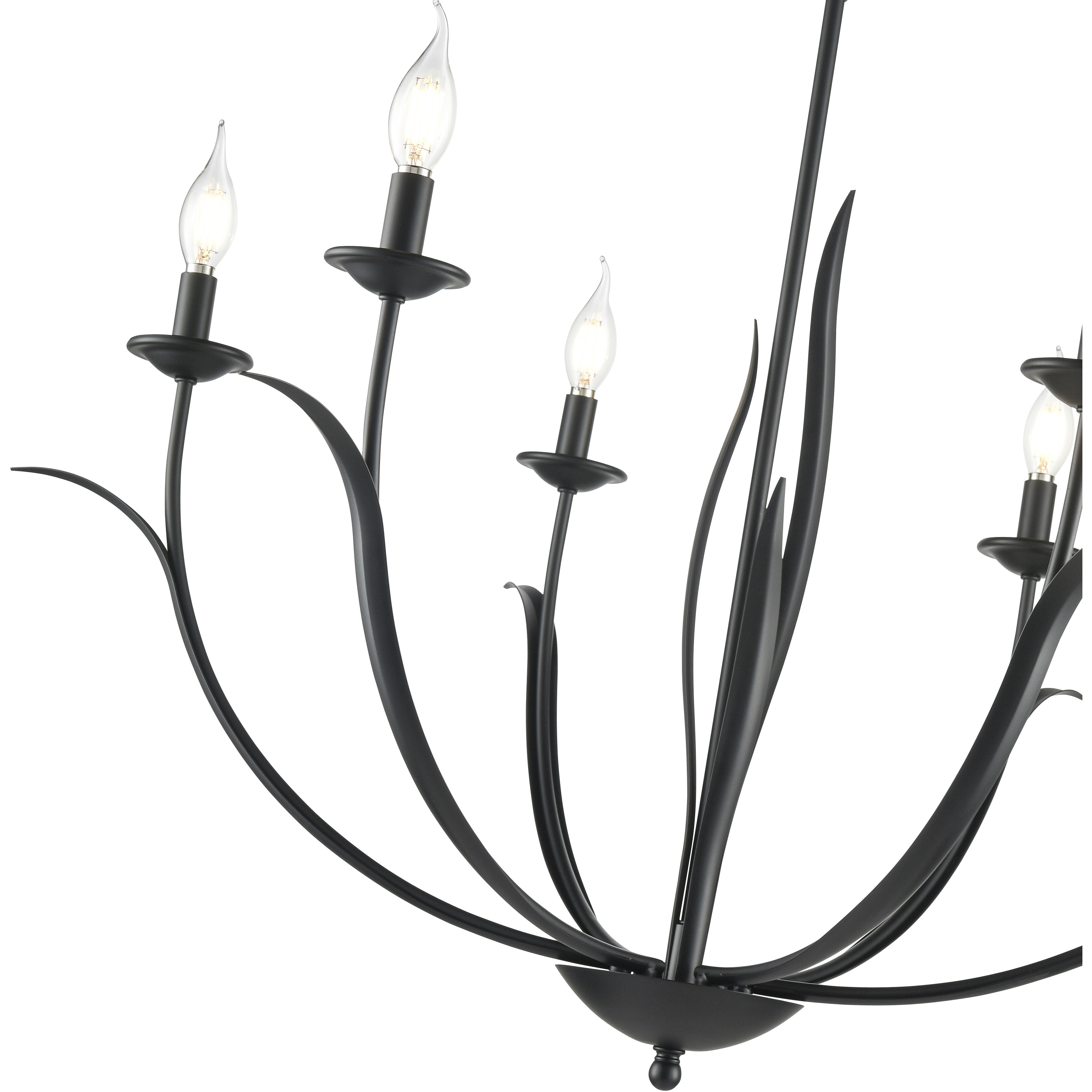Charlize 6 Light 35.5 inch Matte Black Chandelier Ceiling Light