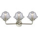 Nouveau Small Oxford LED 25.5 inch Brushed Satin Nickel Bath Vanity Light Wall Light in Seedy Glass, Nouveau