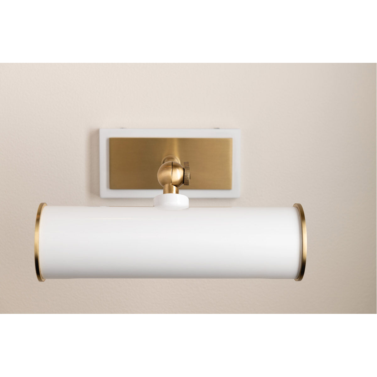 Holly 25 watt 8 inch Aged Brass and White Picture Light Wall Light in White Steel