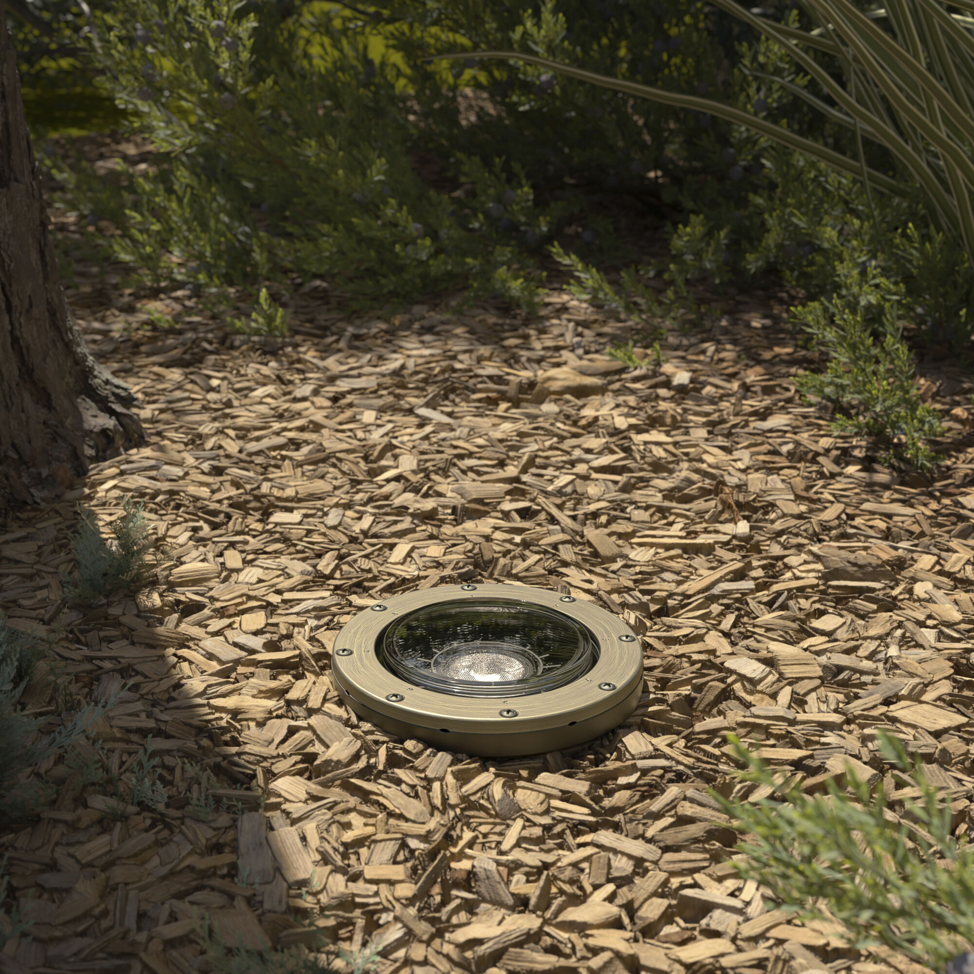 Landscape LED 12 17.00 watt Centennial Brass Landscape 12V LED Inground