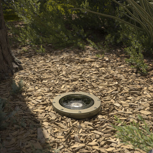 Landscape LED 12 17.00 watt Centennial Brass Landscape 12V LED Inground