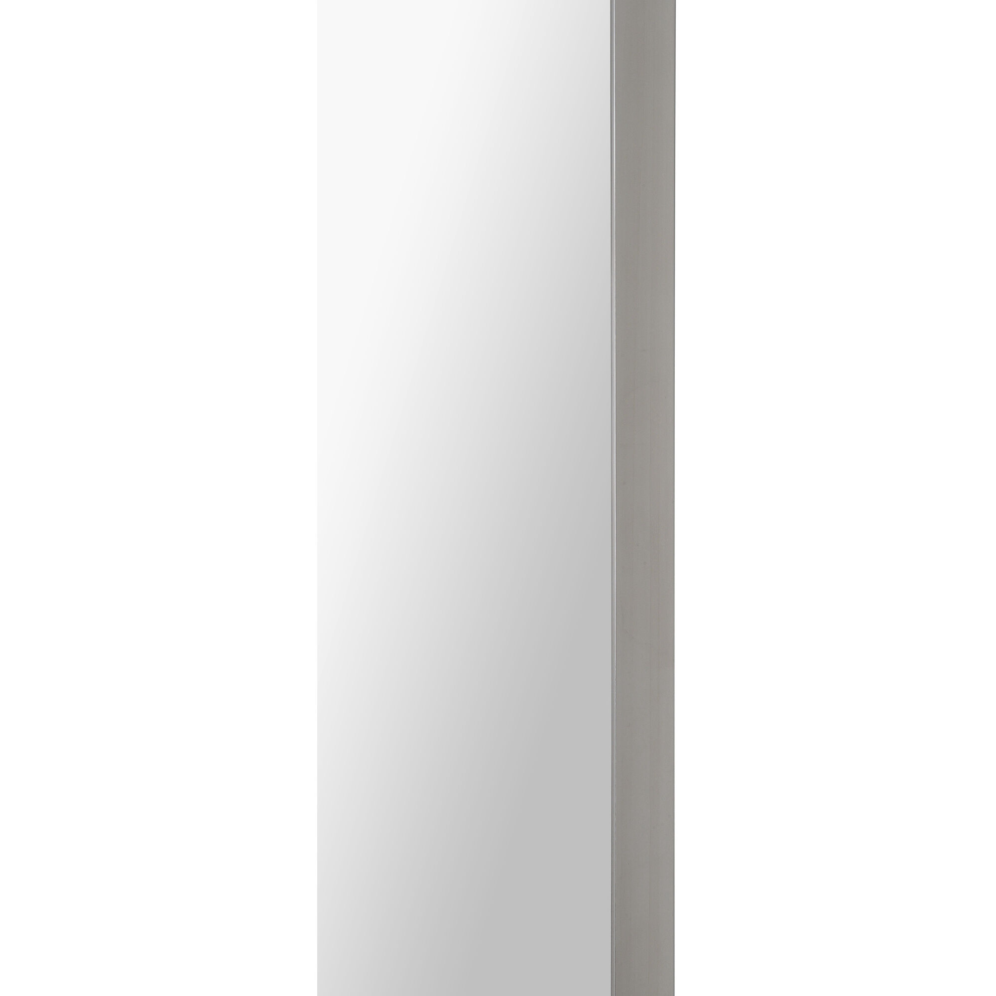 Delphinus 46 X 20 inch Satin NIckel Wall Mirror