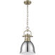 Yep Duncan 1 Light 8.88 inch Aged Brass Pendant Ceiling Light in Chrome, Small