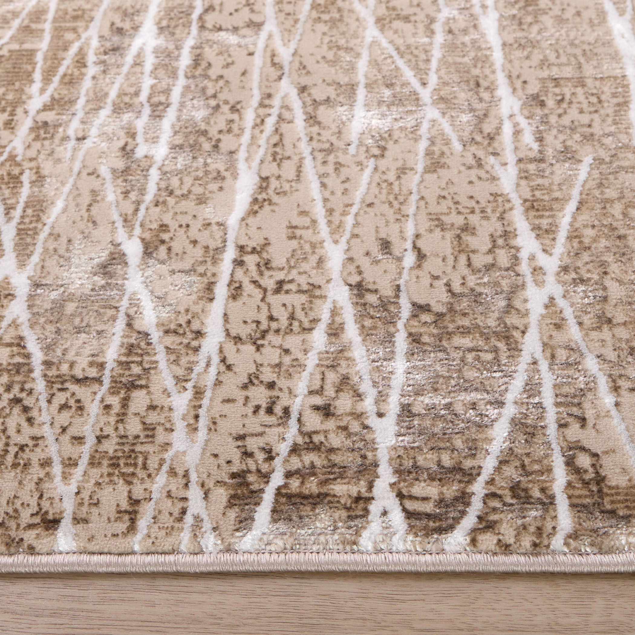 Rienz Brown Indoor Rug