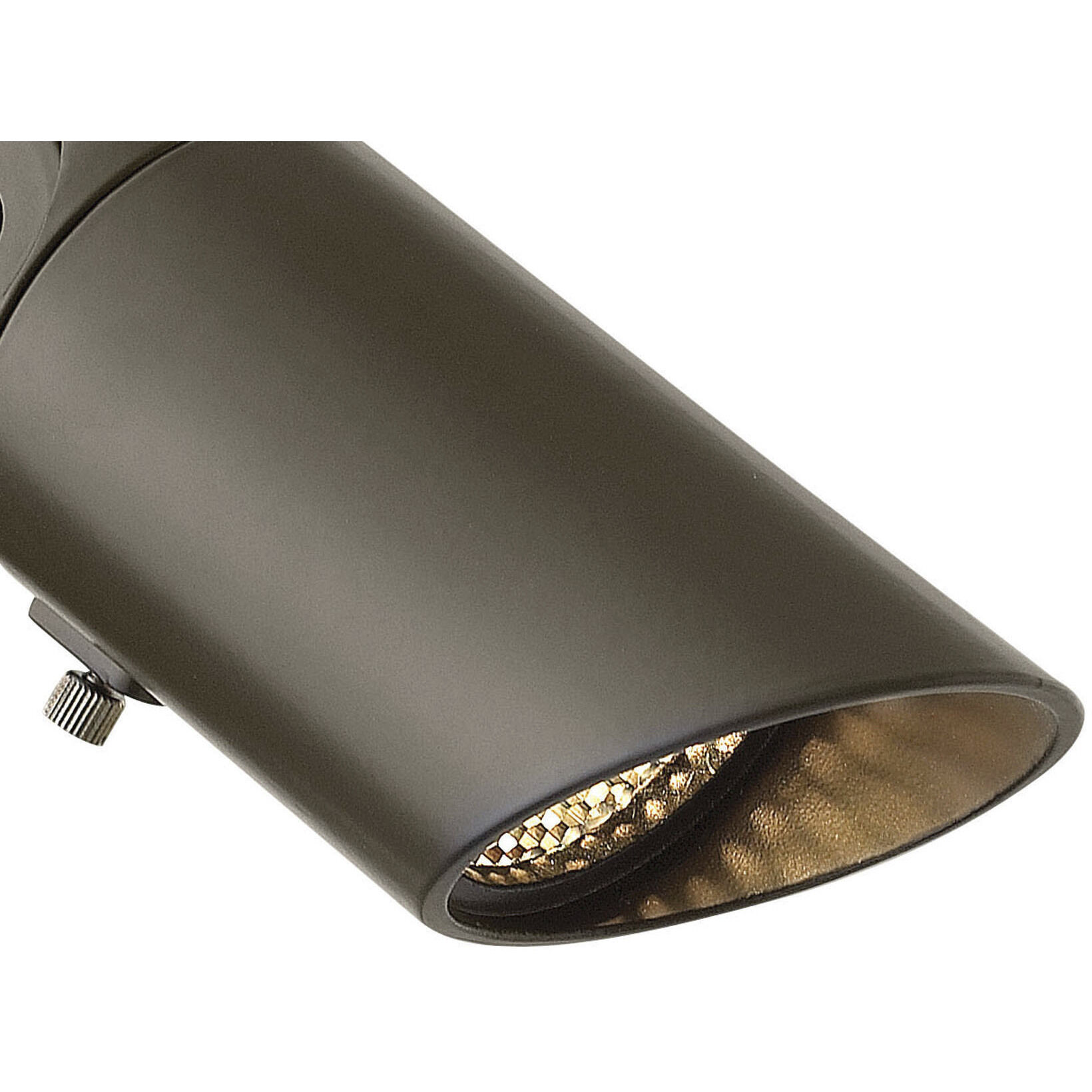 Hardy Island Lumacore 12v 8.00 watt Bronze Landscape Spot Light in Non-LED, Down Light