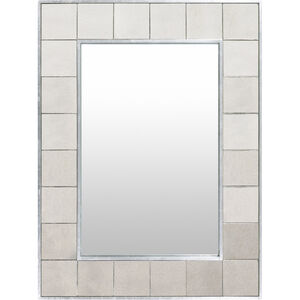 Galen 30 X 2 inch Mirrors, Rectangle