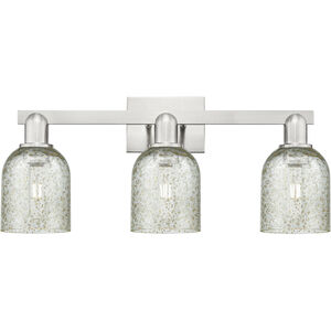 Arcadia Caledonia 3 Light 24.00 inch Bathroom Vanity Light