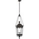 Rudolph Colby Rosedale Grand 2 Light 14.25 inch French Rust Outdoor Hanging Lantern, Medium