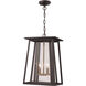 Geode 2 Light 11 inch Black Outdoor Hanging Lantern 