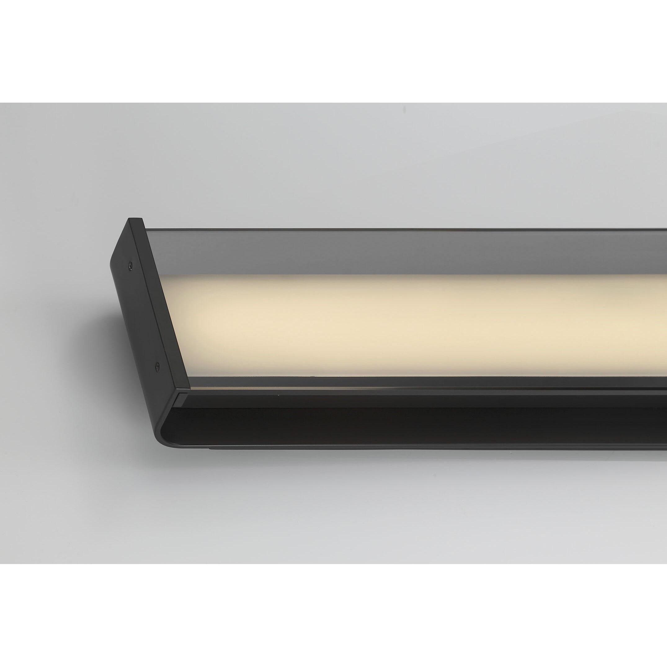 Dulton LED 42.25 inch Matte Black Outdoor Wall Sconce