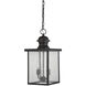 Newberry 2 Light 9 inch English Bronze Outdoor Hanging Lantern