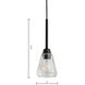 Arctic 1 Light 5 inch Acid Dipped Black Pendant Ceiling Light