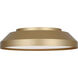 Nevado LED 12 inch Satin Brass Flush Mount Ceiling Light