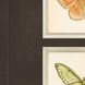 Animals Collection Multi Framed Art