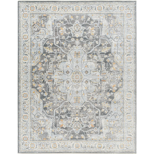 Hassler 36 X 24 inch Charcoal Rug, Rectangle