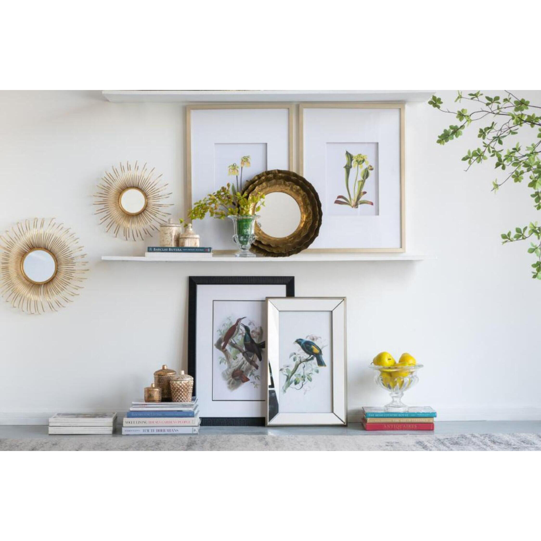 Botanical Multi Color Wall Art, Set of 4